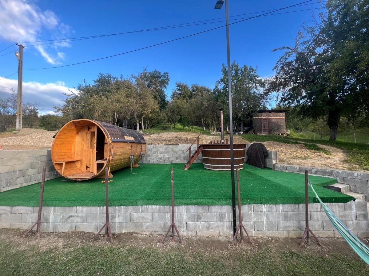Casa Radu Lui Anghel Villa Barbuletu Exterior foto